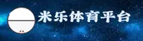 使用指南与常见问题